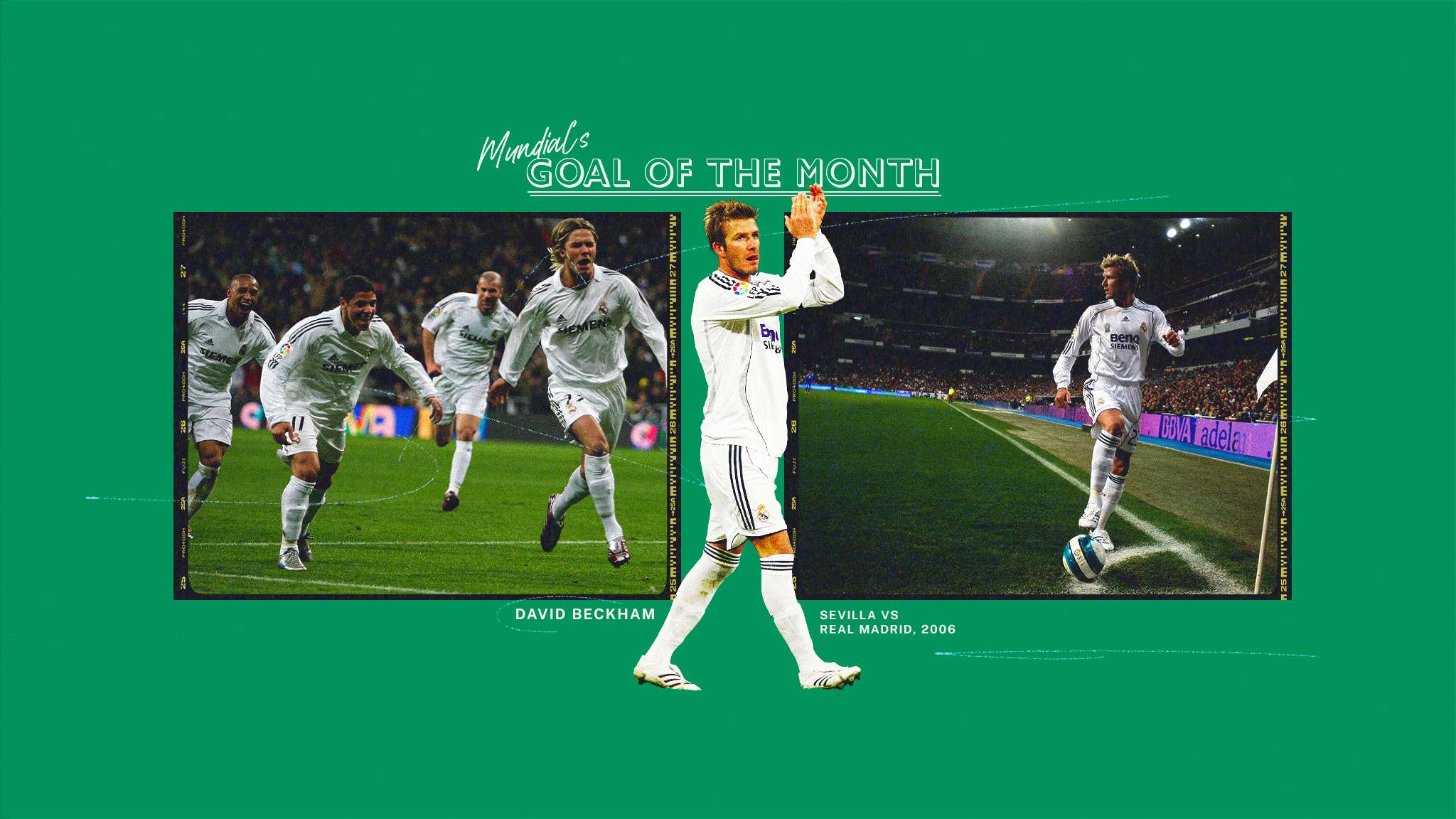 讓藍軍球迷 讓藍軍球迷