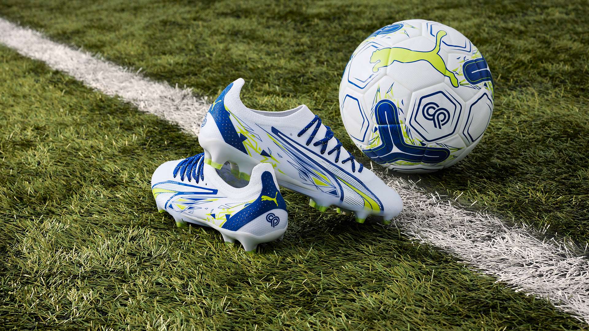 国家荣誉的 国家荣誉的